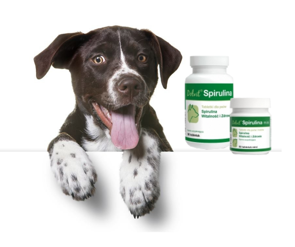 Dolvit Spirulina